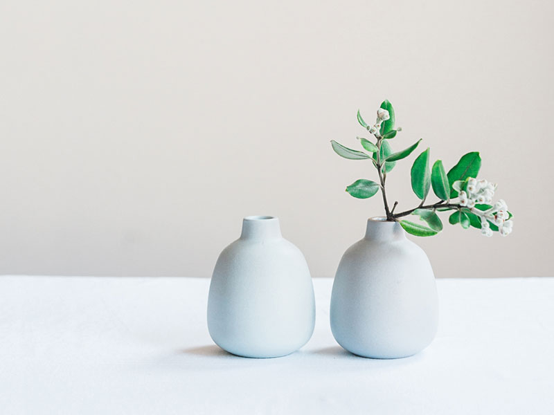 2 vases rond contenant une plante